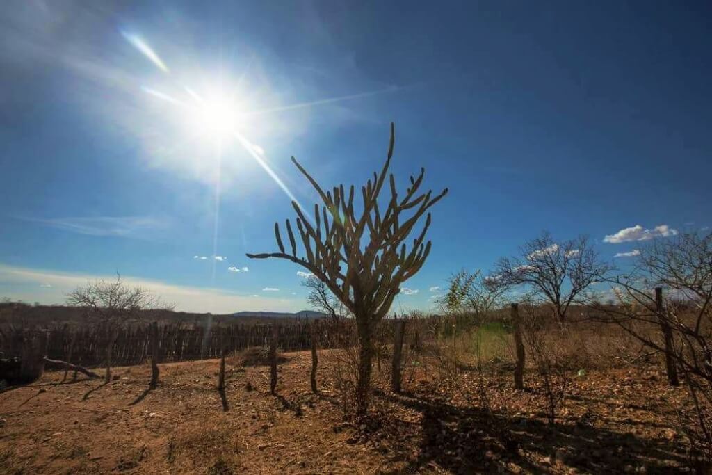 Registro de Marca Betânia do Piauí