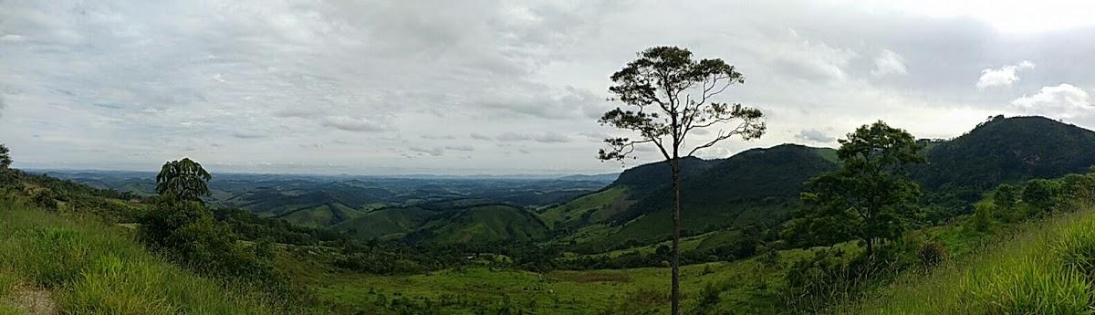 Registro de Marca Bias Fortes