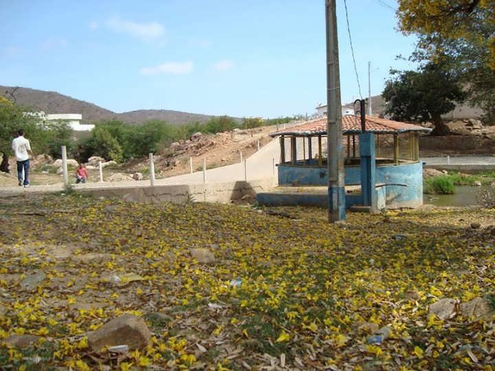 Registro de Marca Bodó