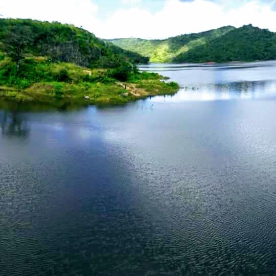 Registro de Marca Bom Jardim