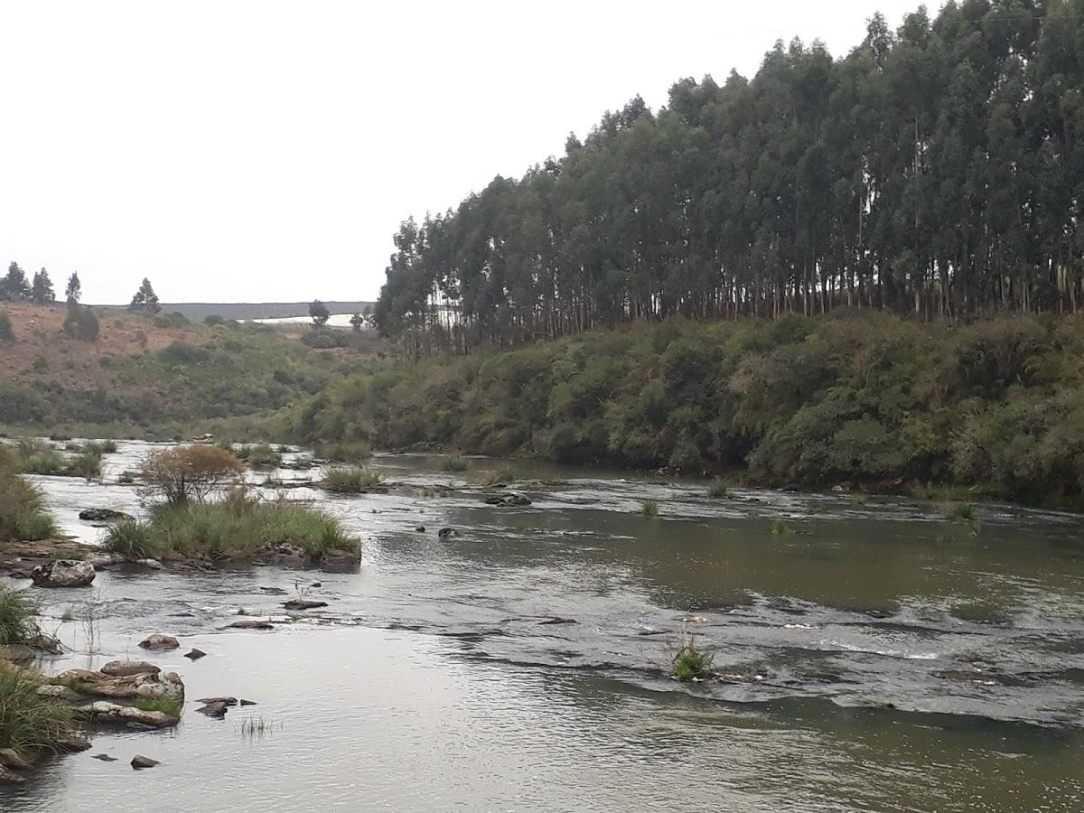 Registro de Marca Bom Jesus