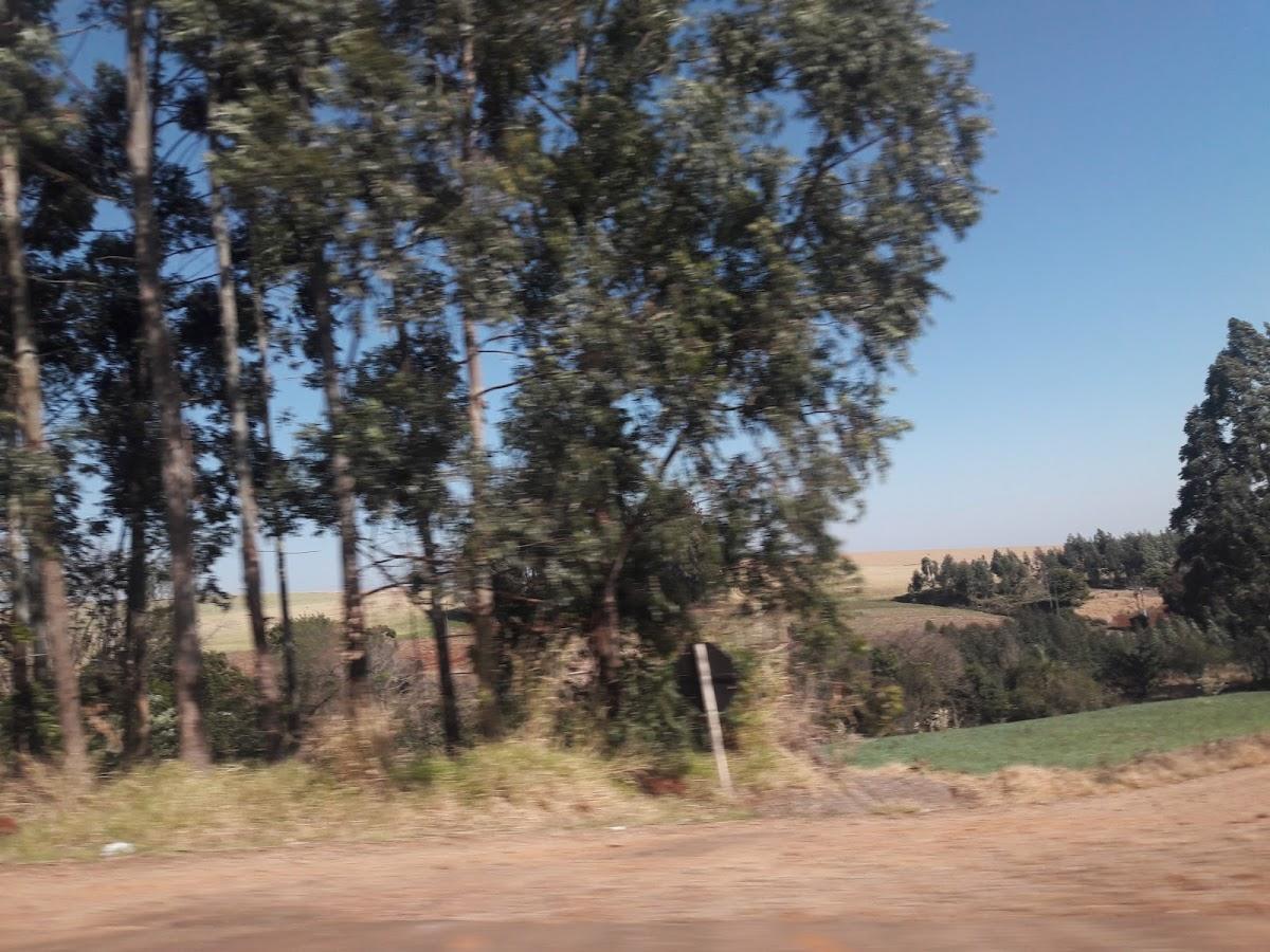 Registro de Marca Bom Progresso