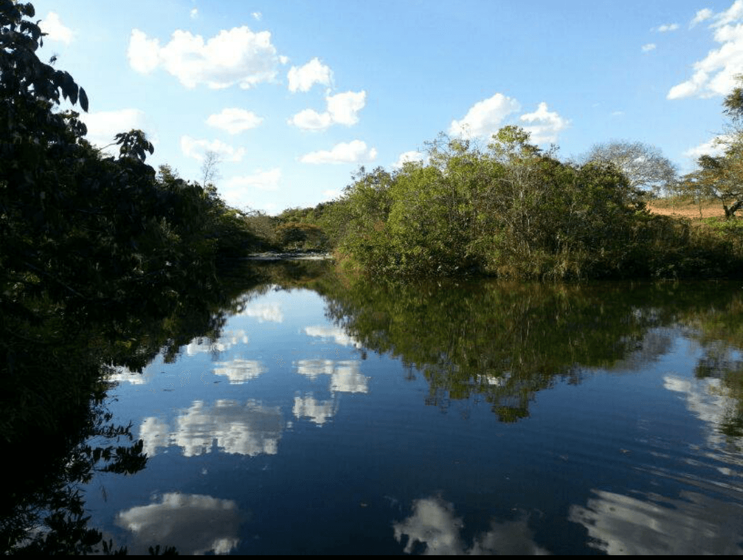 Registro de Marca Bonfinópolis de Minas