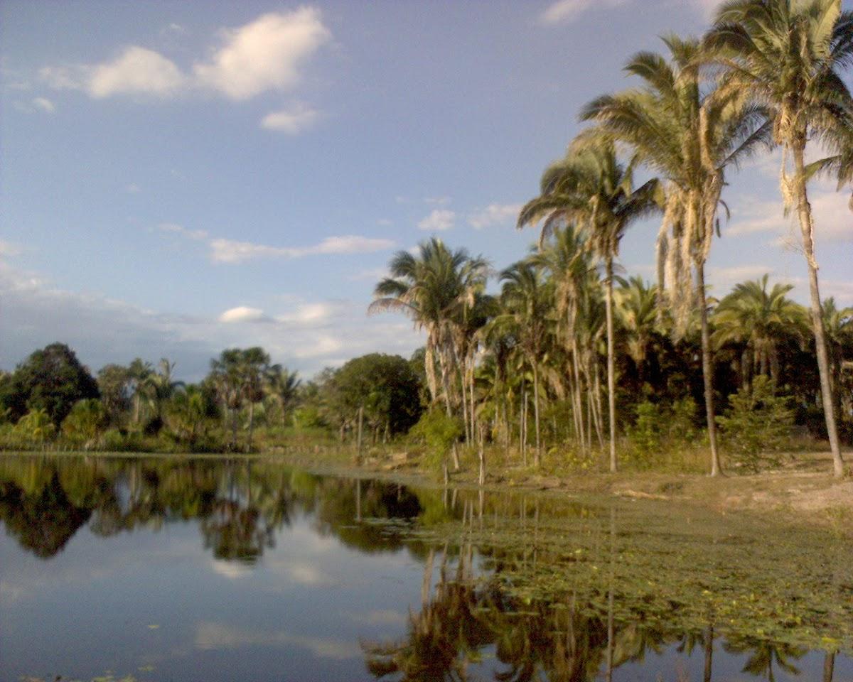 Registro de Marca Boqueirão do Piauí