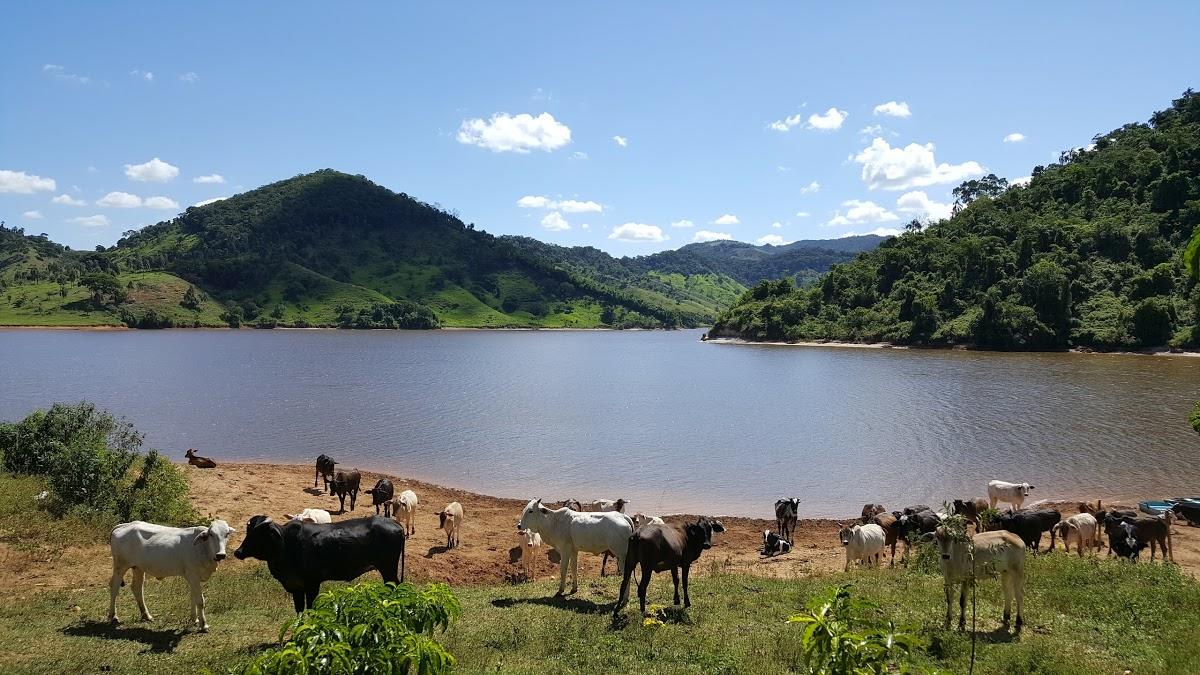 Registro de Marca Braúnas