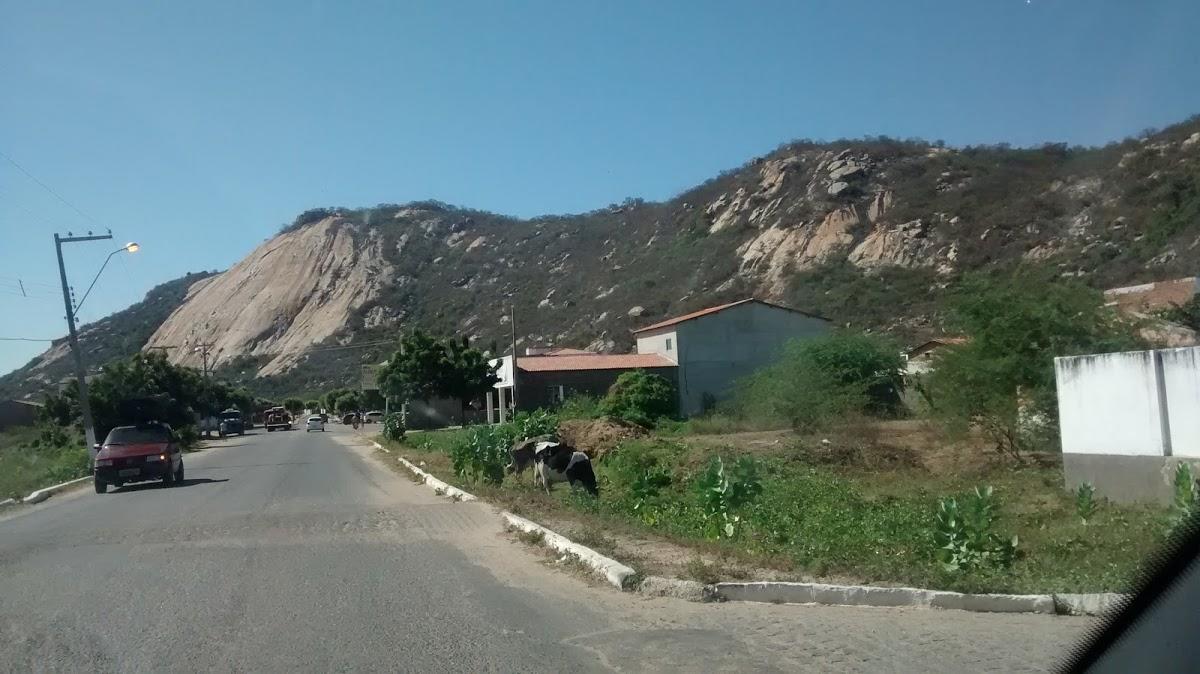 Registro de Marca Brejo do Cruz