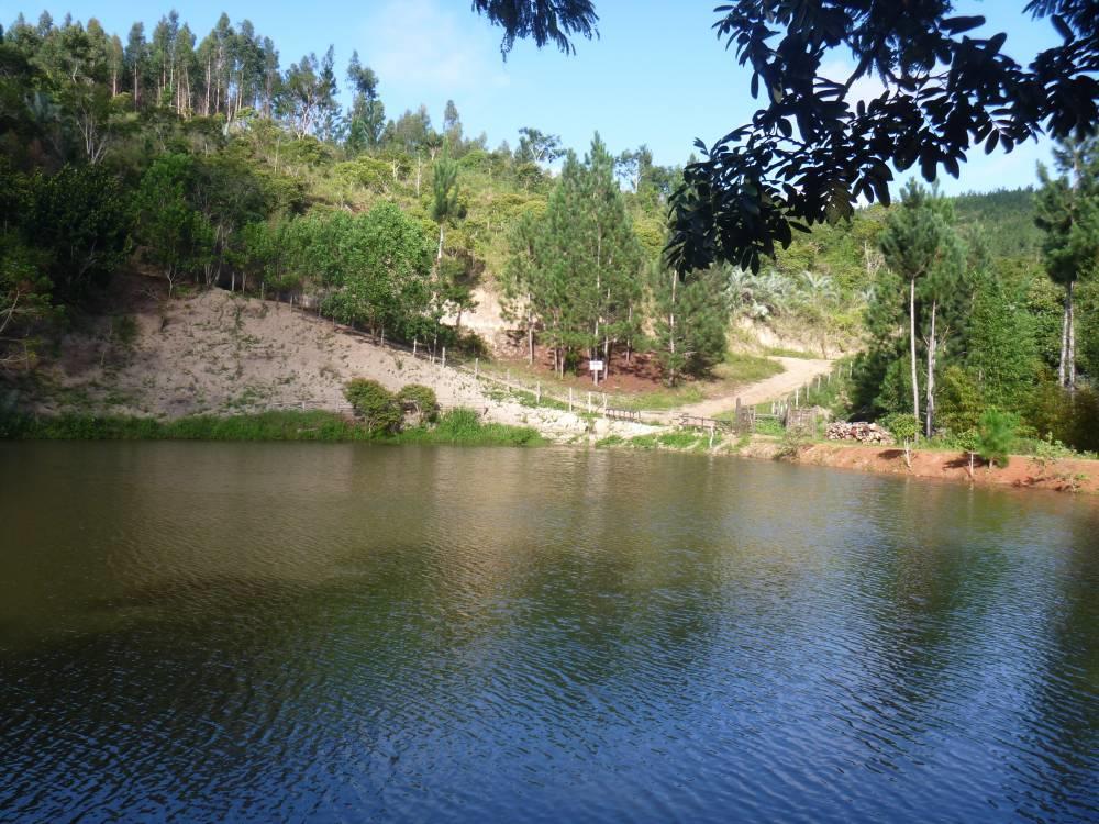 Registro de Marca Brejões