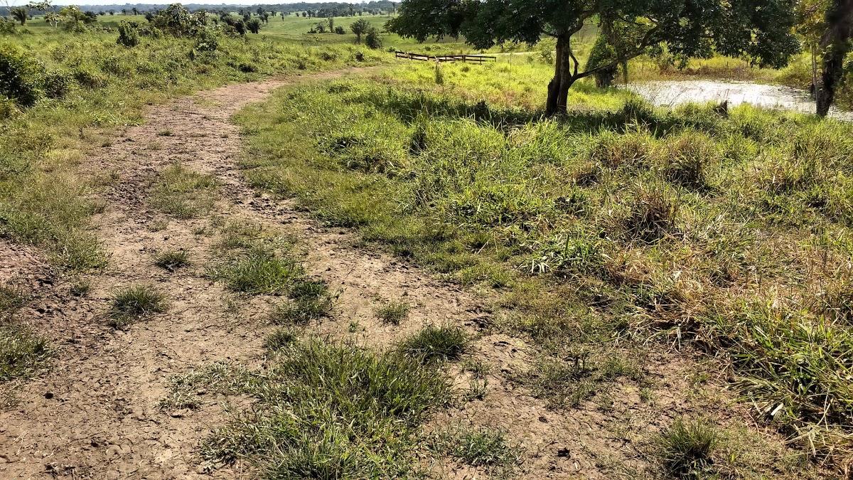 Registro de Marca Bujari