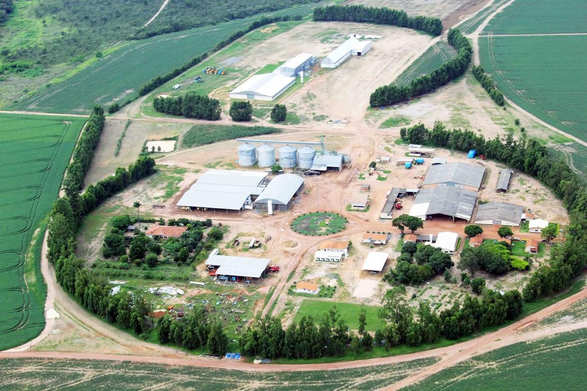 Registro de Marca Buritis