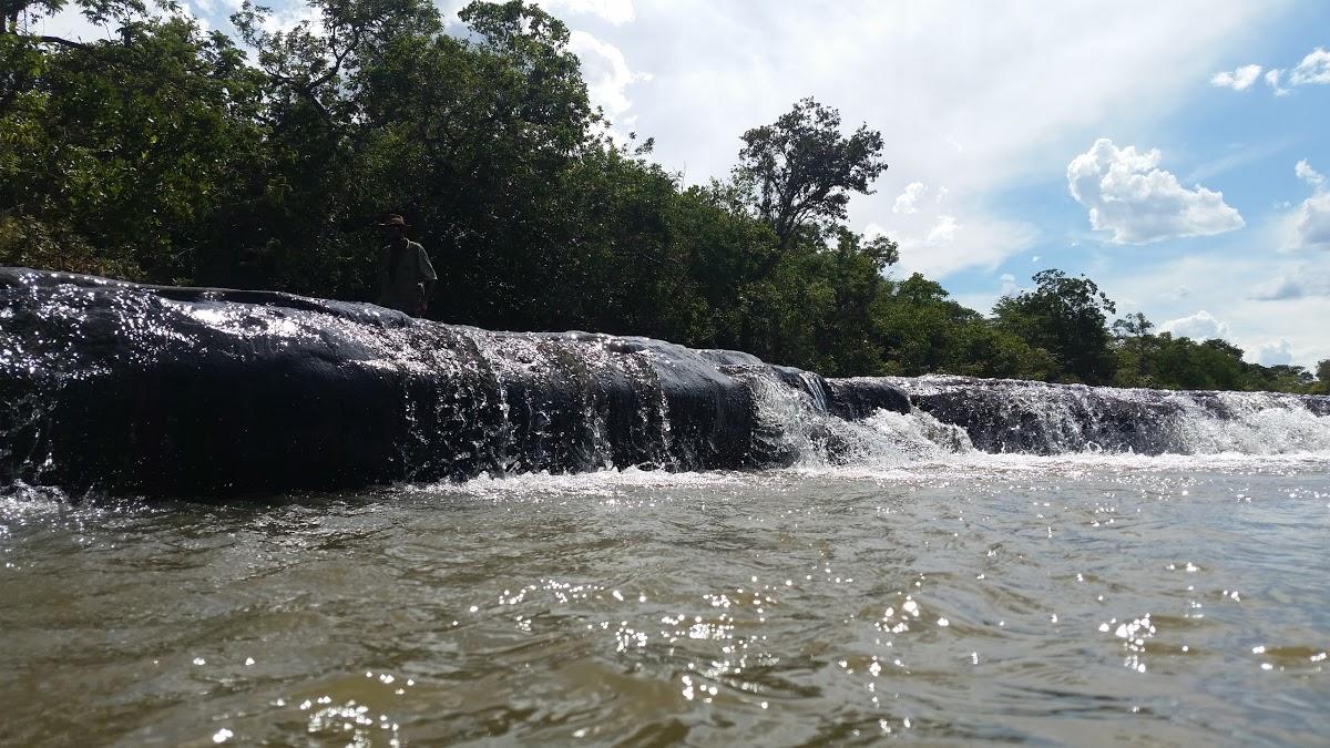 Registro de Marca Buritizeiro