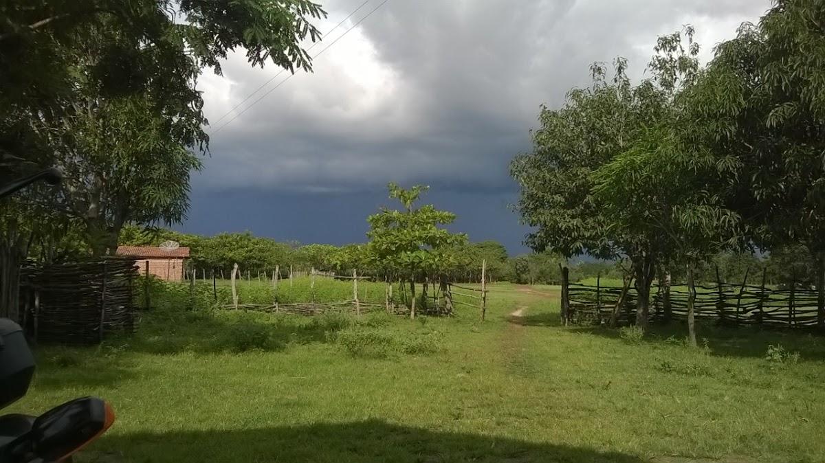Registro de Marca Cabeceiras do Piauí
