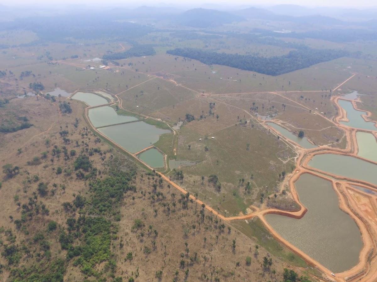 Registro de Marca Cacaulândia
