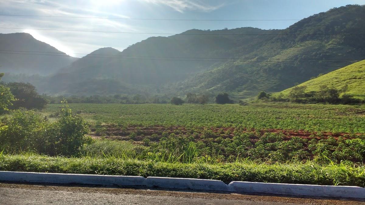 Registro de Marca Cachoeiras de Macacu