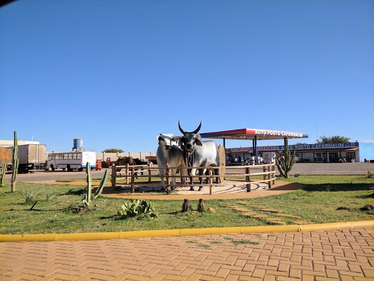 Registro de Marca Cafarnaum