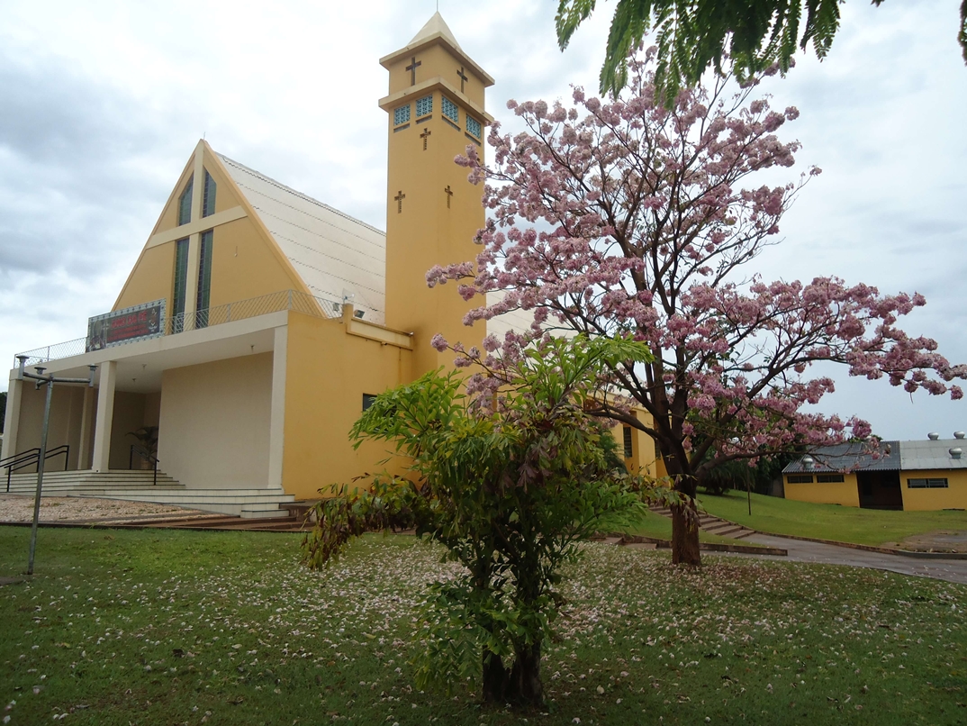 Registro de Marca Cafeara