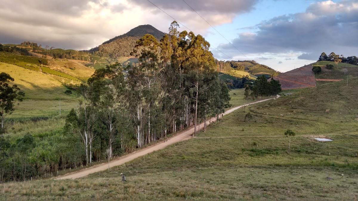 Registro de Marca Caiana