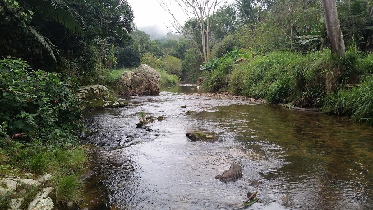 Registro de Marca Cajati