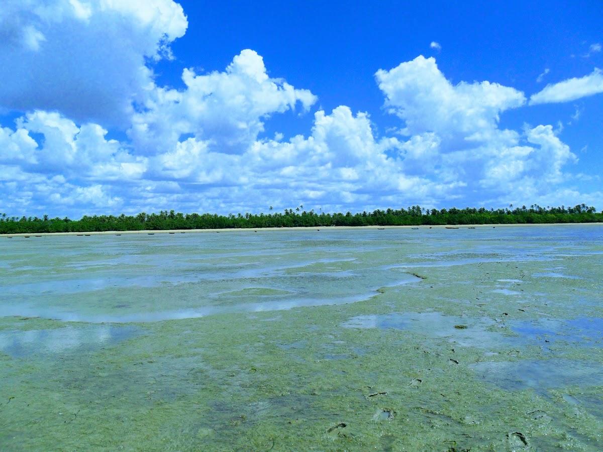 Registro de Marca Cajueiro da Praia