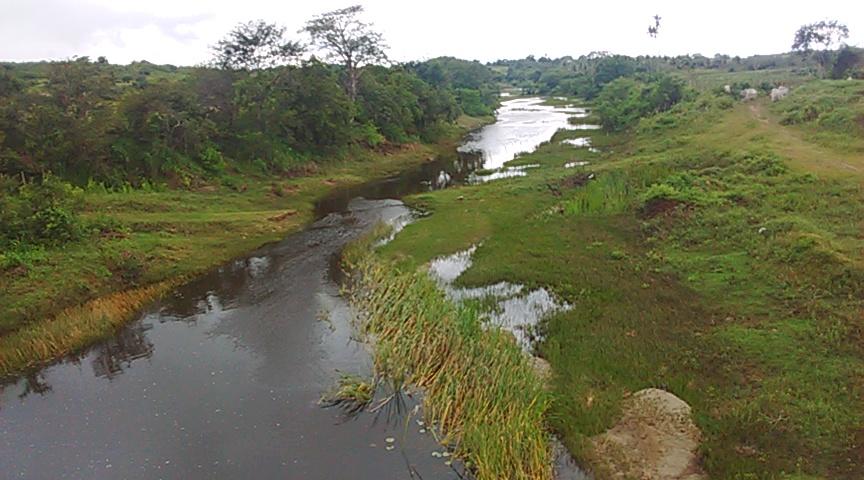 Registro de Marca Caldas Brandão
