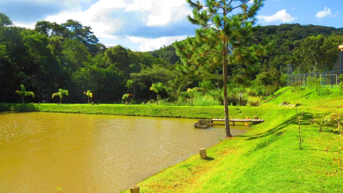 Registro de Marca Camamu