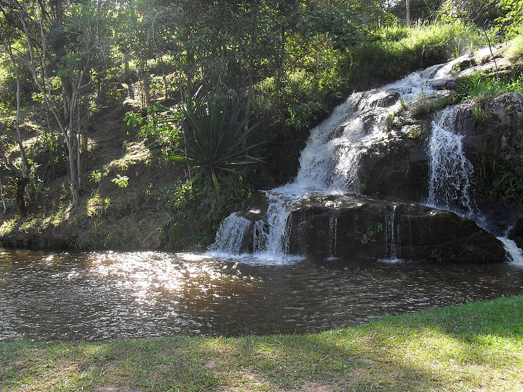 Registro de Marca Cambuí