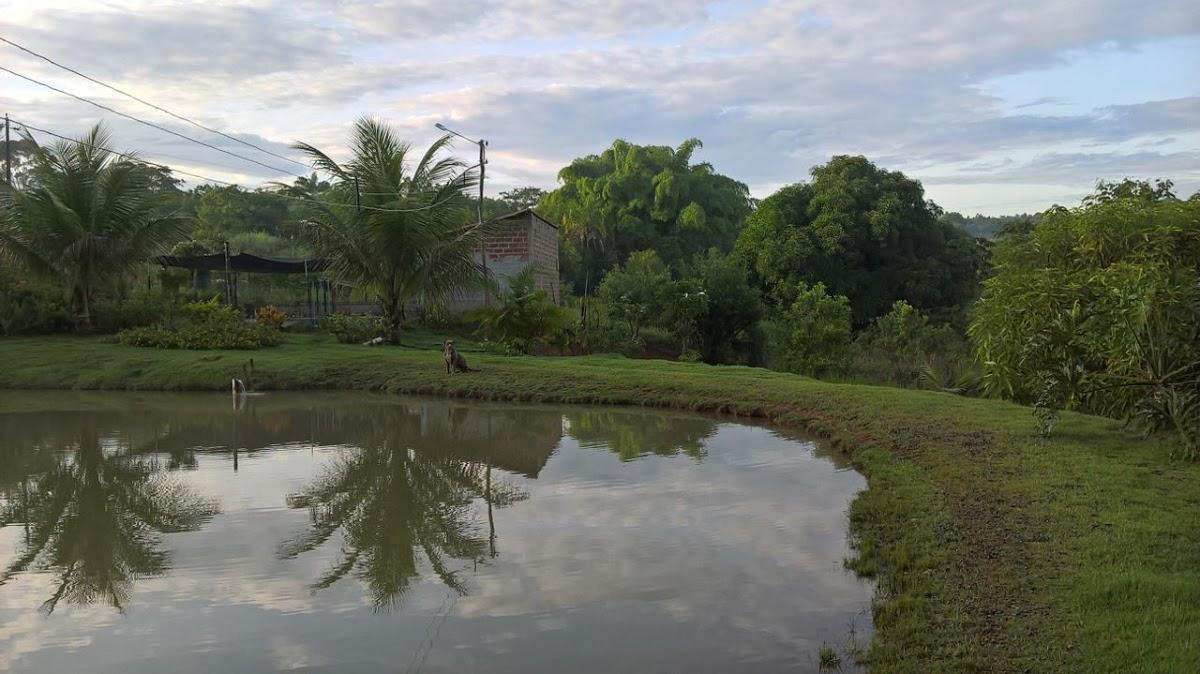 Registro de Marca Campestre de Goiás