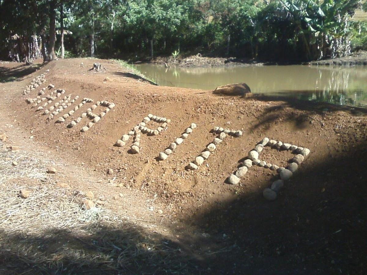 Registro de Marca Campina do Simão