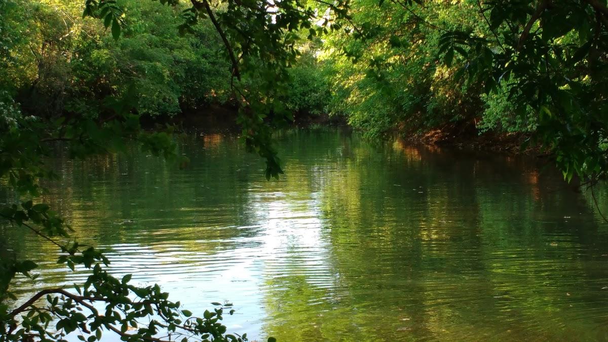 Registro de Marca Campina Verde