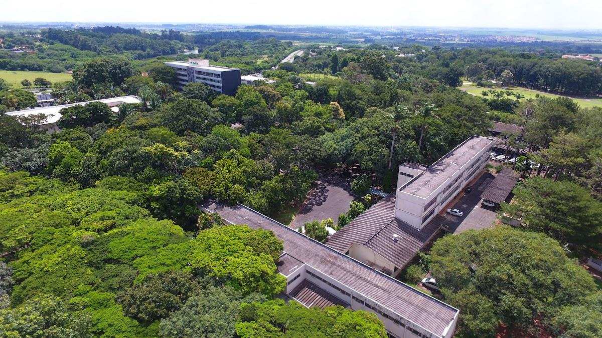 Registro de Marca Campinas