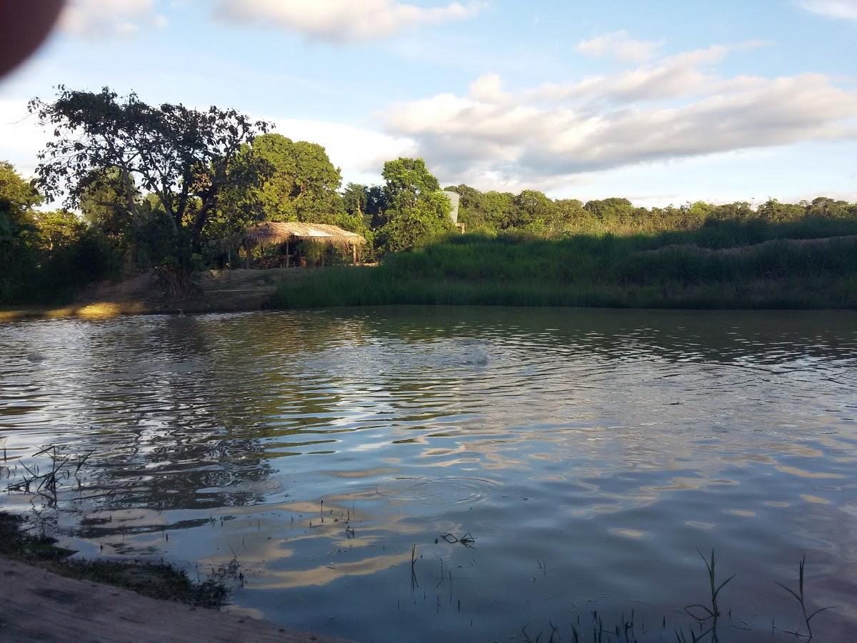 Registro de Marca Campinorte