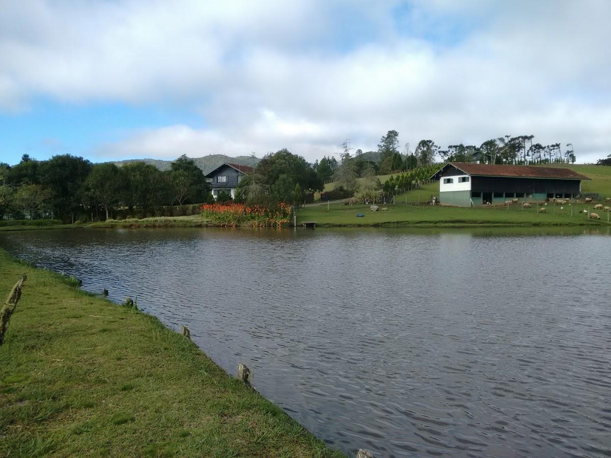 Registro de Marca Campo Alegre