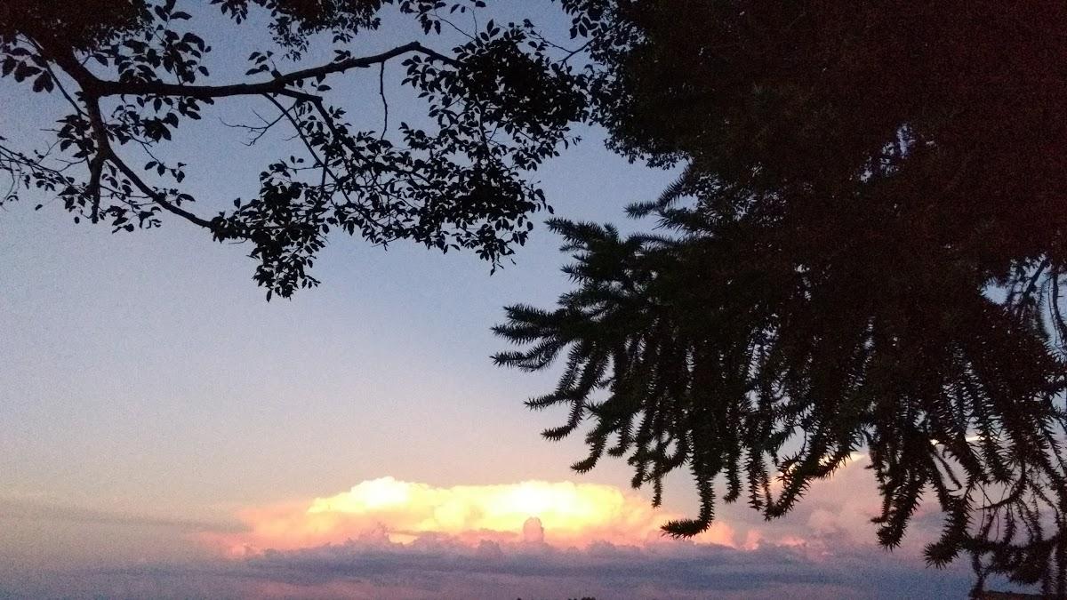 Registro de Marca Campo Bonito