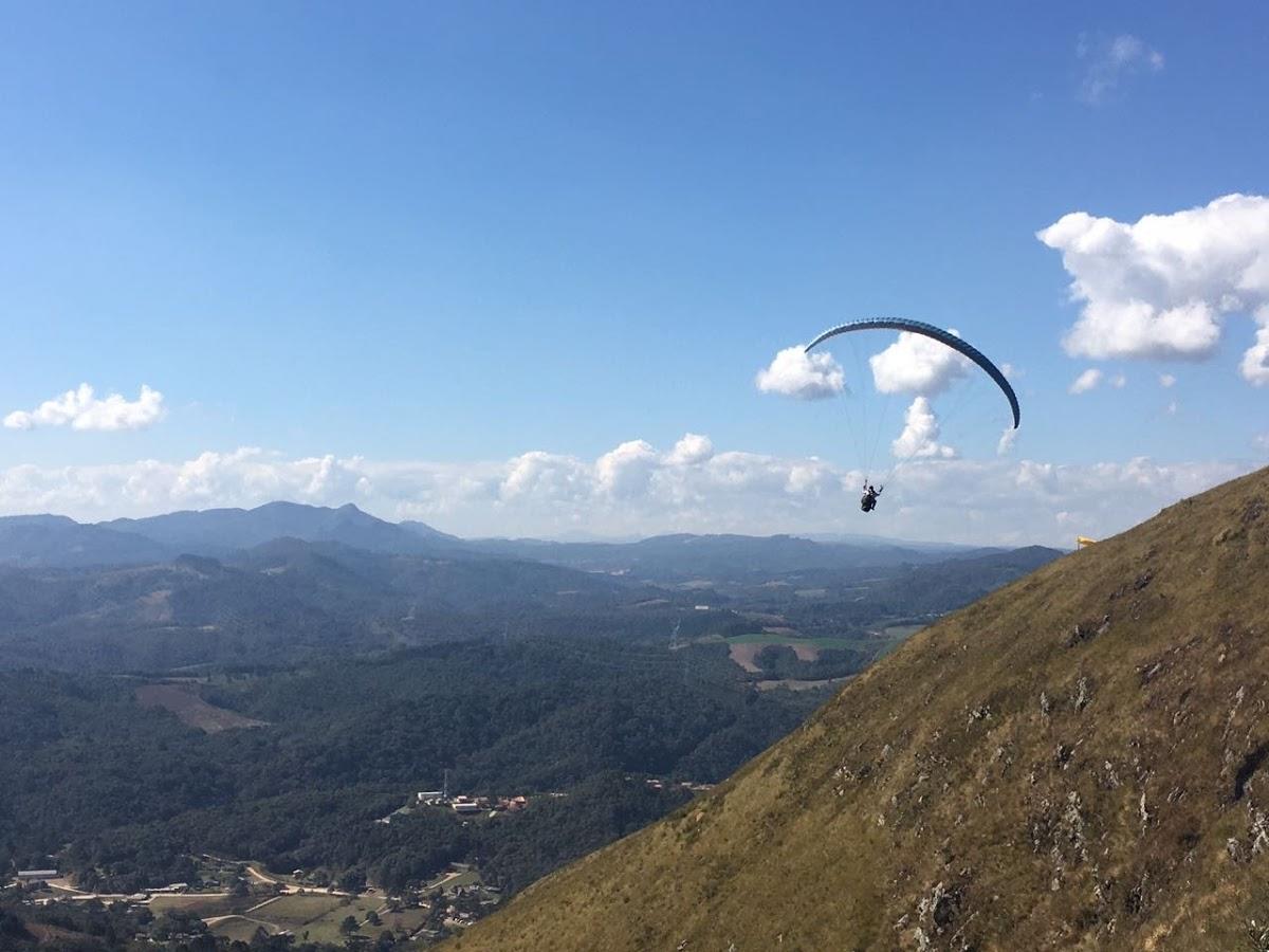 Registro de Marca Campo Magro