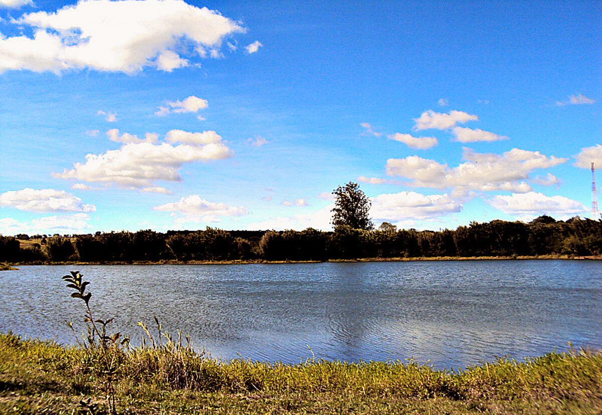 Registro de Marca Campos Novos Paulista