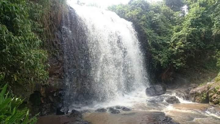 Registro de Marca Canápolis