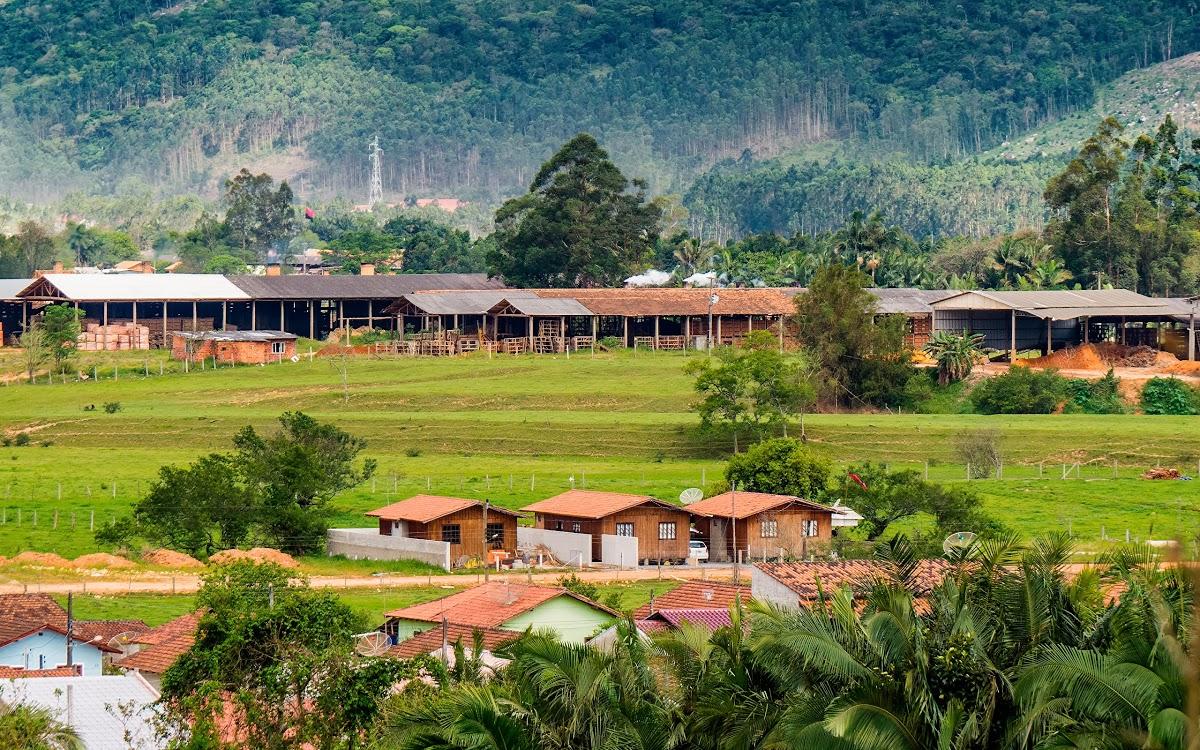 Registro de Marca Canelinha