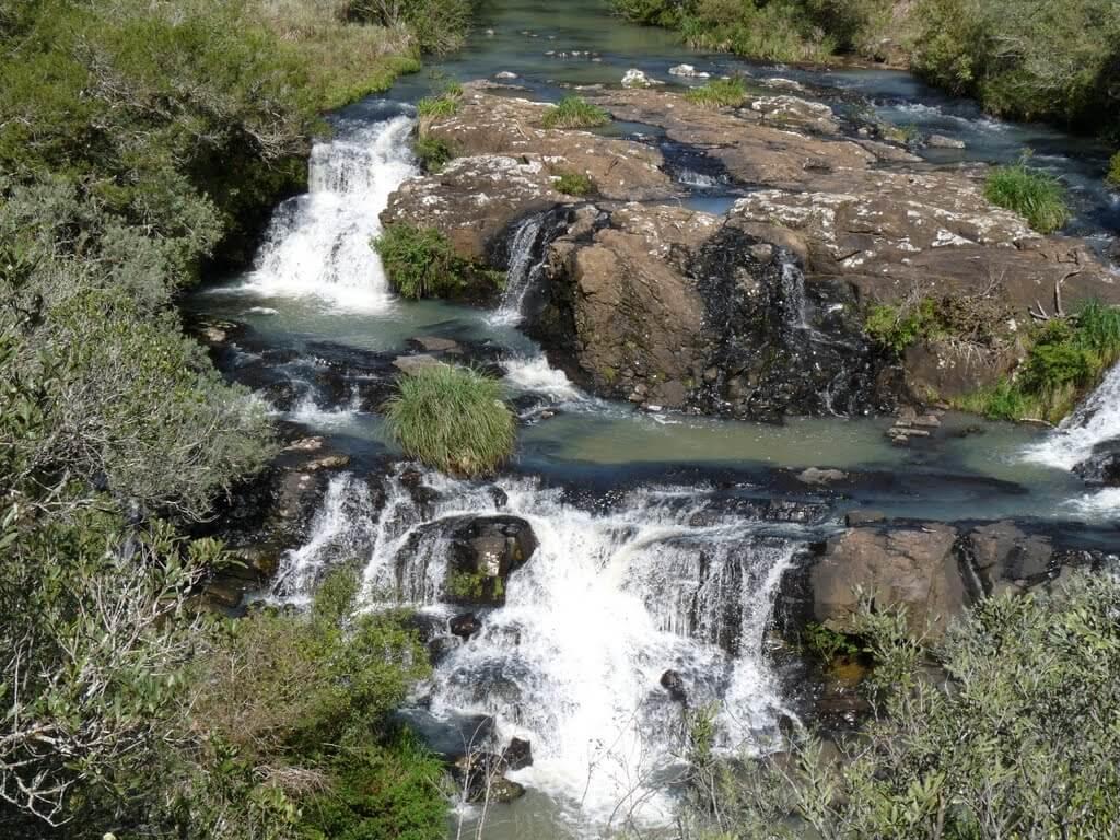 Registro de Marca Capão Alto
