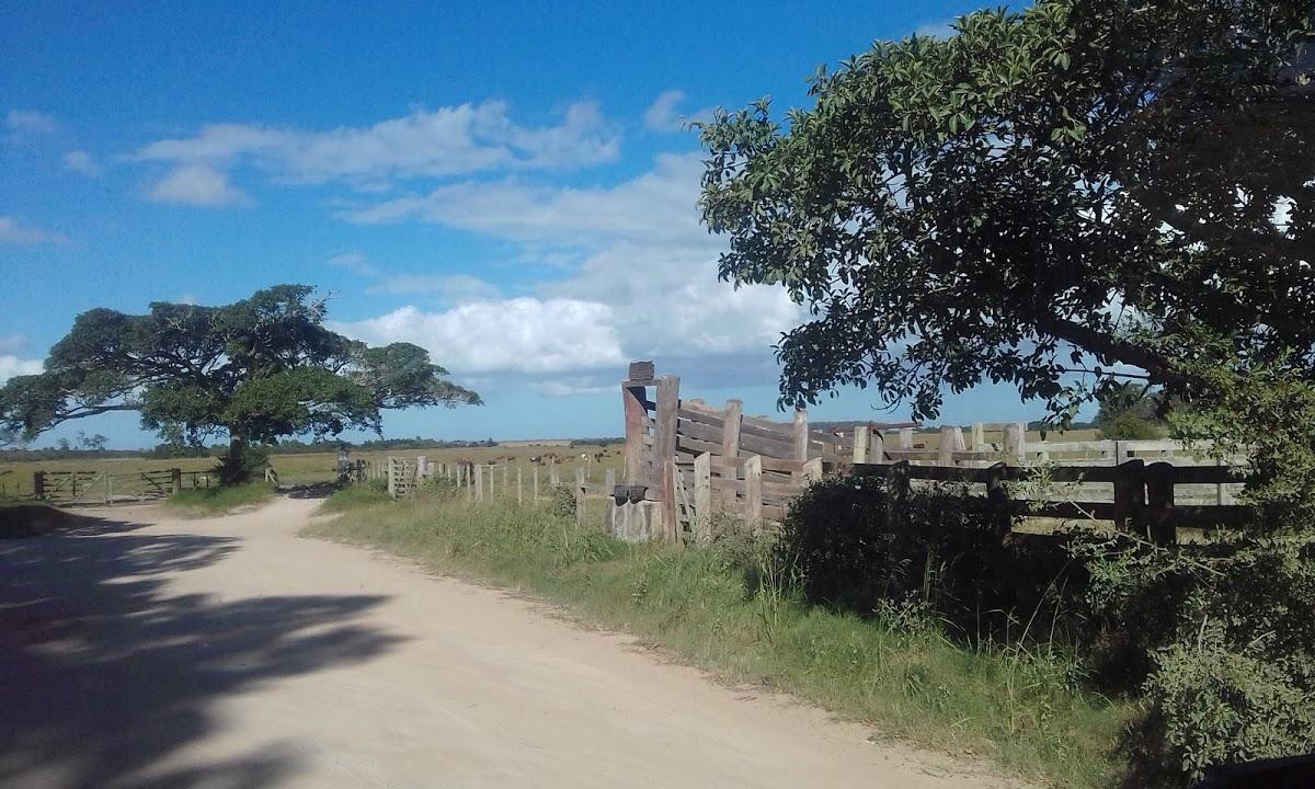 Registro de Marca Capão do Leão