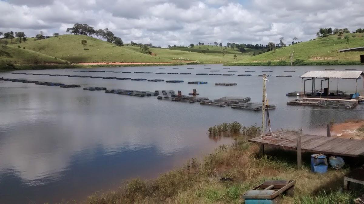 Registro de Marca Capim Branco