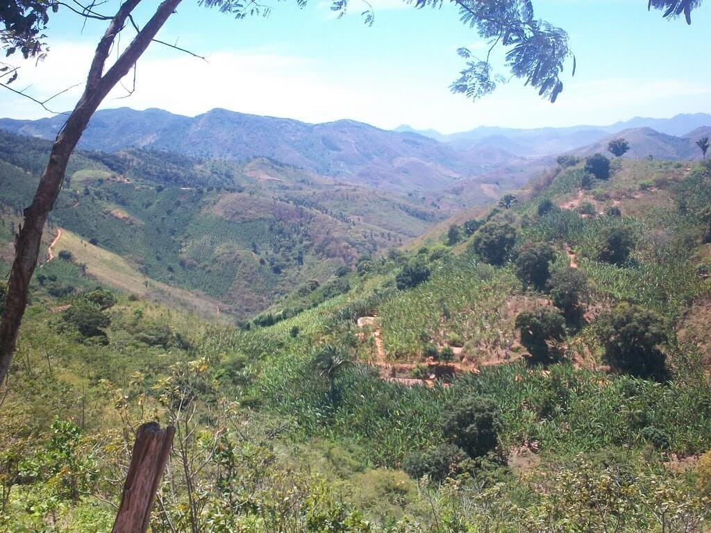 Registro de Marca Capistrano