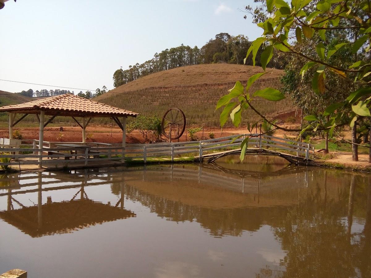 Registro de Marca Caputira