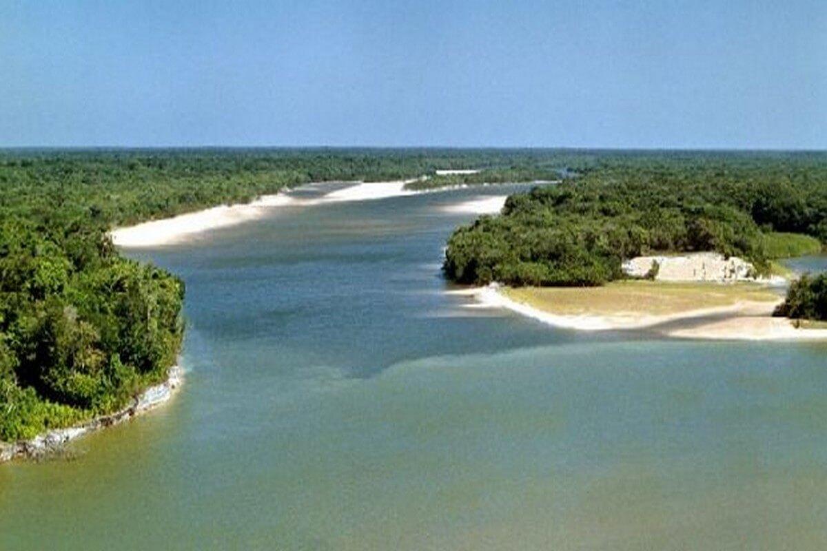 Registro de Marca Caracaraí