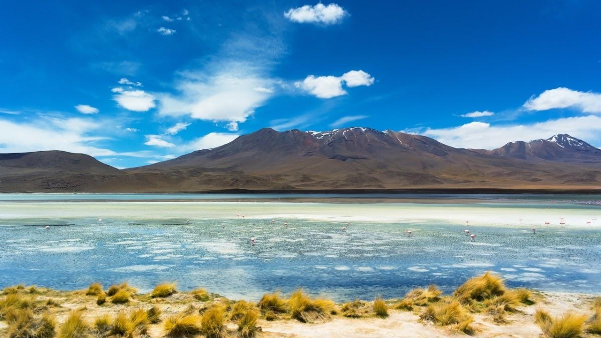 Registro de Marca Careiro da Várzea