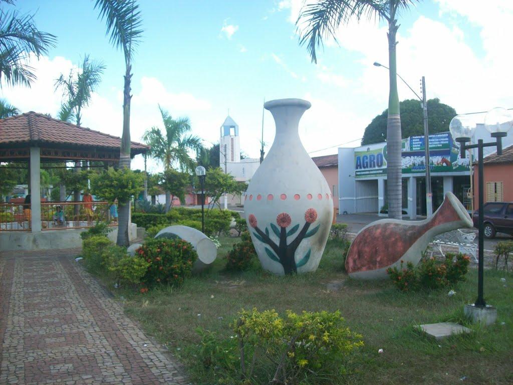 Registro de Marca Cariri do Tocantins