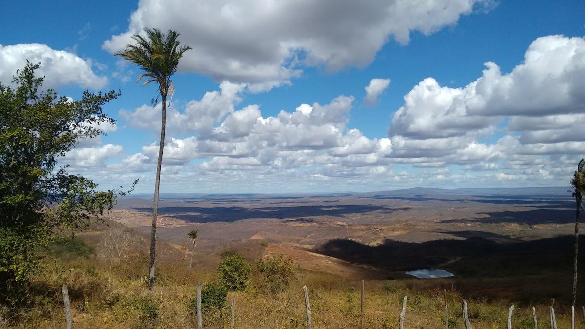 Registro de Marca Caririaçu