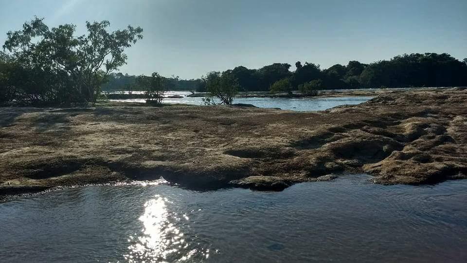 Registro de Marca Carlinda
