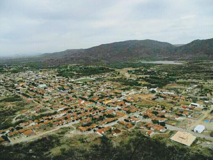 Registro de Marca Carnaúba dos Dantas