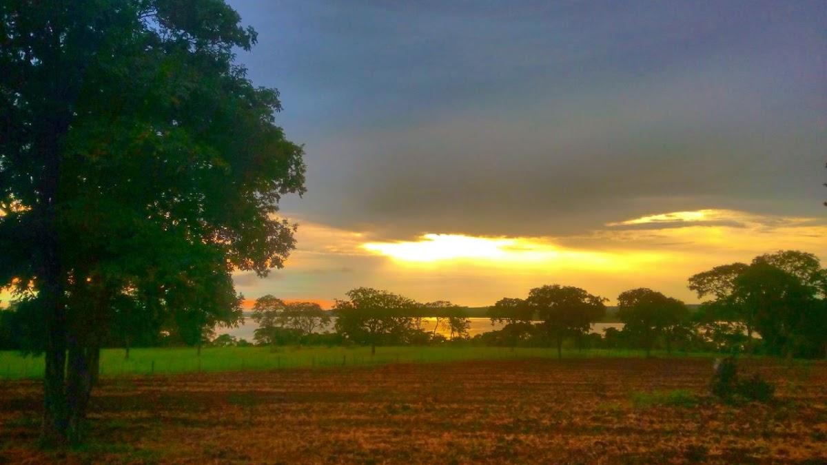 Registro de Marca Carneirinho