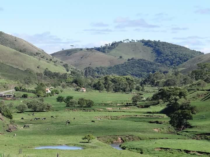 Registro de Marca Carvalhos