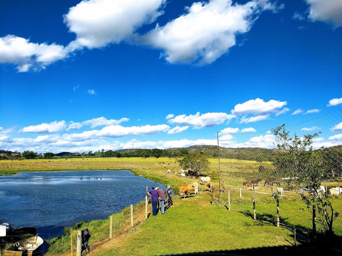 Registro de Marca Caturaí